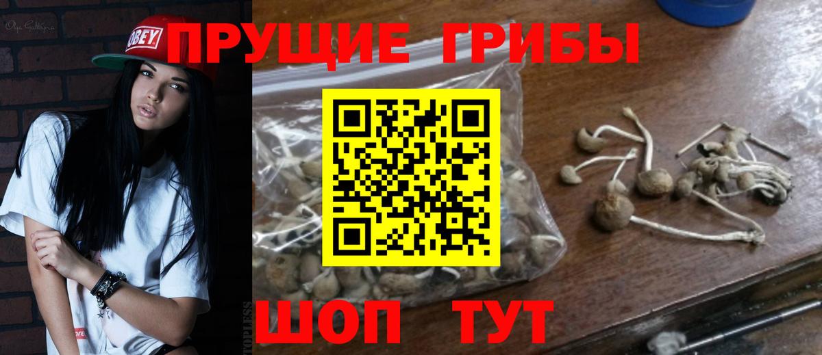 Галлюциногенные грибы GOLDEN TEACHER Зеленокумск