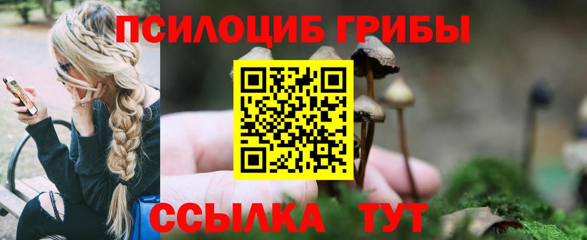 Гашиш  A PVP СОЛЬ кристаллы  Зеленокумск  NBOMe  Вход с VPN  Бошки Шишки  КОКАИН  Меф МЯУ МЯУ  