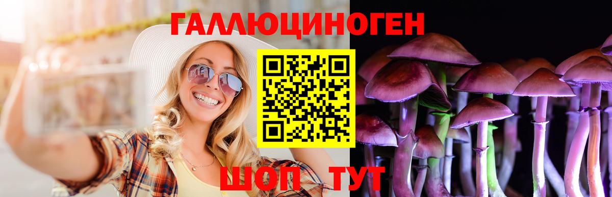 Псилоцибиновые грибы ЛСД  Псилоцибиновые грибы прущие грибы  Вход с VPN  Зеленокумск 